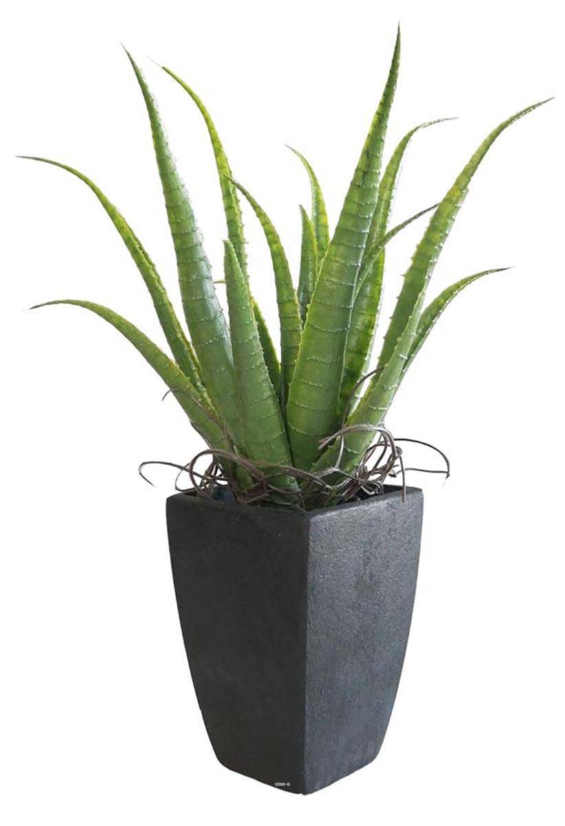 Artificielles - Agave Succulente plante artificielle cactée en pot H 36 cm Vert Type B - couleur: Vert - div: B