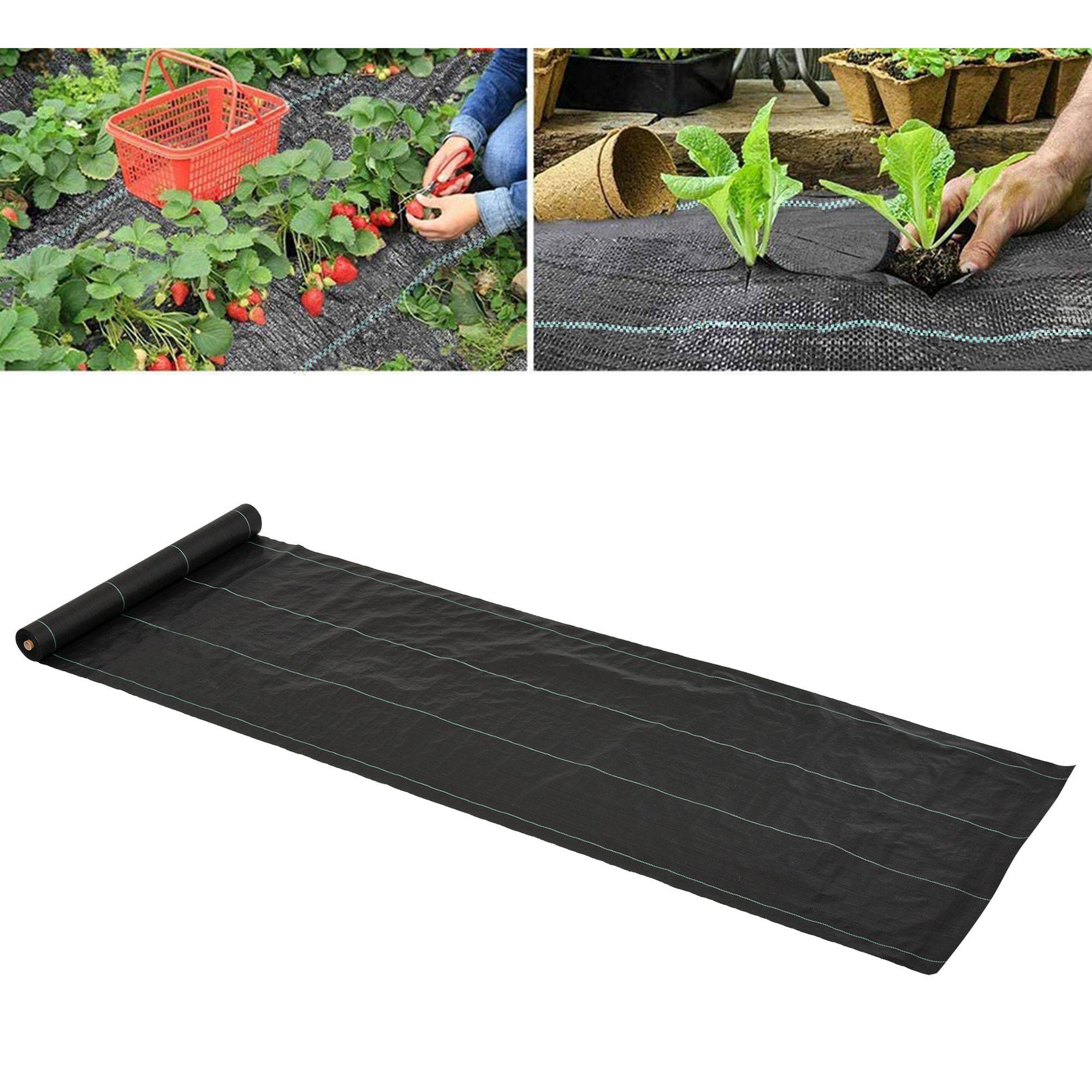 ComfortXL - Toile de paillage PP 100 g/m² noire 50 x 1 m anti mauvaises herbes perméable anti-UV - ComfortXL Outdoor Living - Image 3