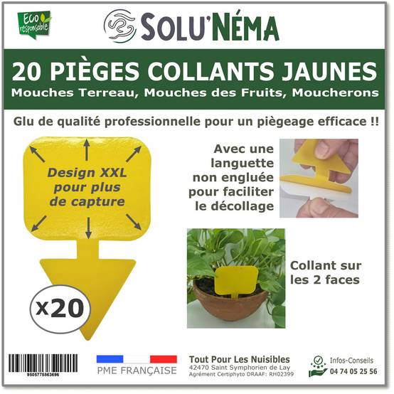 Solu'Néma - 20 Pièges Collants Jaunes pour Mouches du Terreau, Mouches des Fruits, Moucherons, Design XXL - Image 1