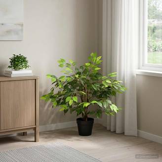 Plante artificielle Ficus tissu et bois vert 73 x 16 x 60 cm - PANGIVO