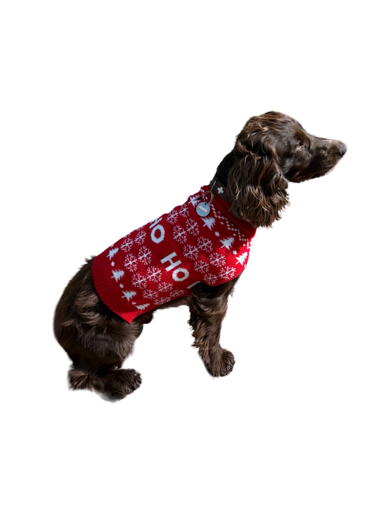 Pull noel brode père noel-pour chien- deguisement tricote taille L - Mon Ami Luki - Image 5
