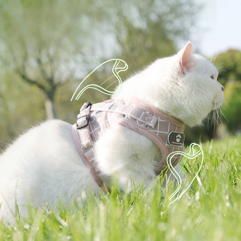 Harnais pour chat en maille souple m - IntiMeg - Image 2