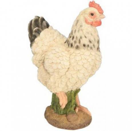 Riviera - POULE PM BLANCHE