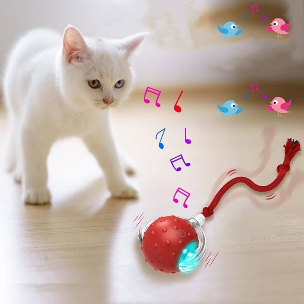 IntiMeg - Balle interactive pour chat rouge IntiMeg - Image 3