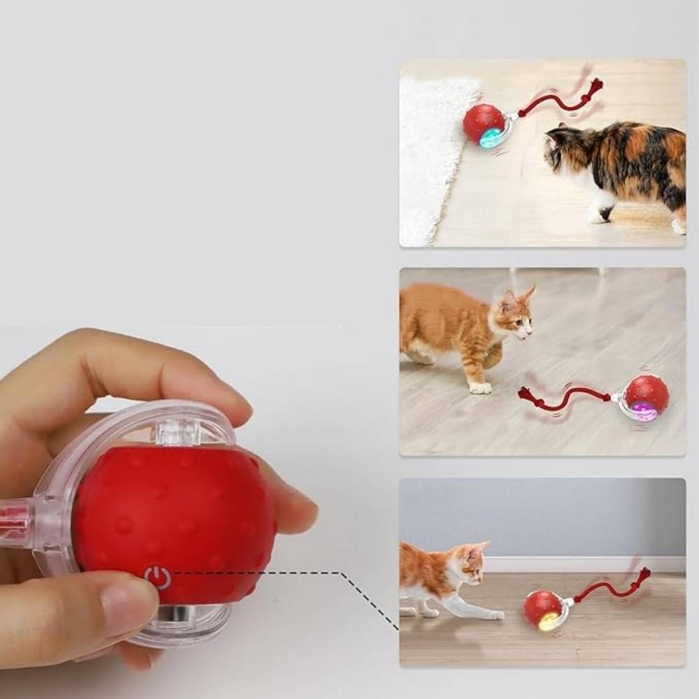IntiMeg - Balle interactive pour chat rouge IntiMeg - Image 4