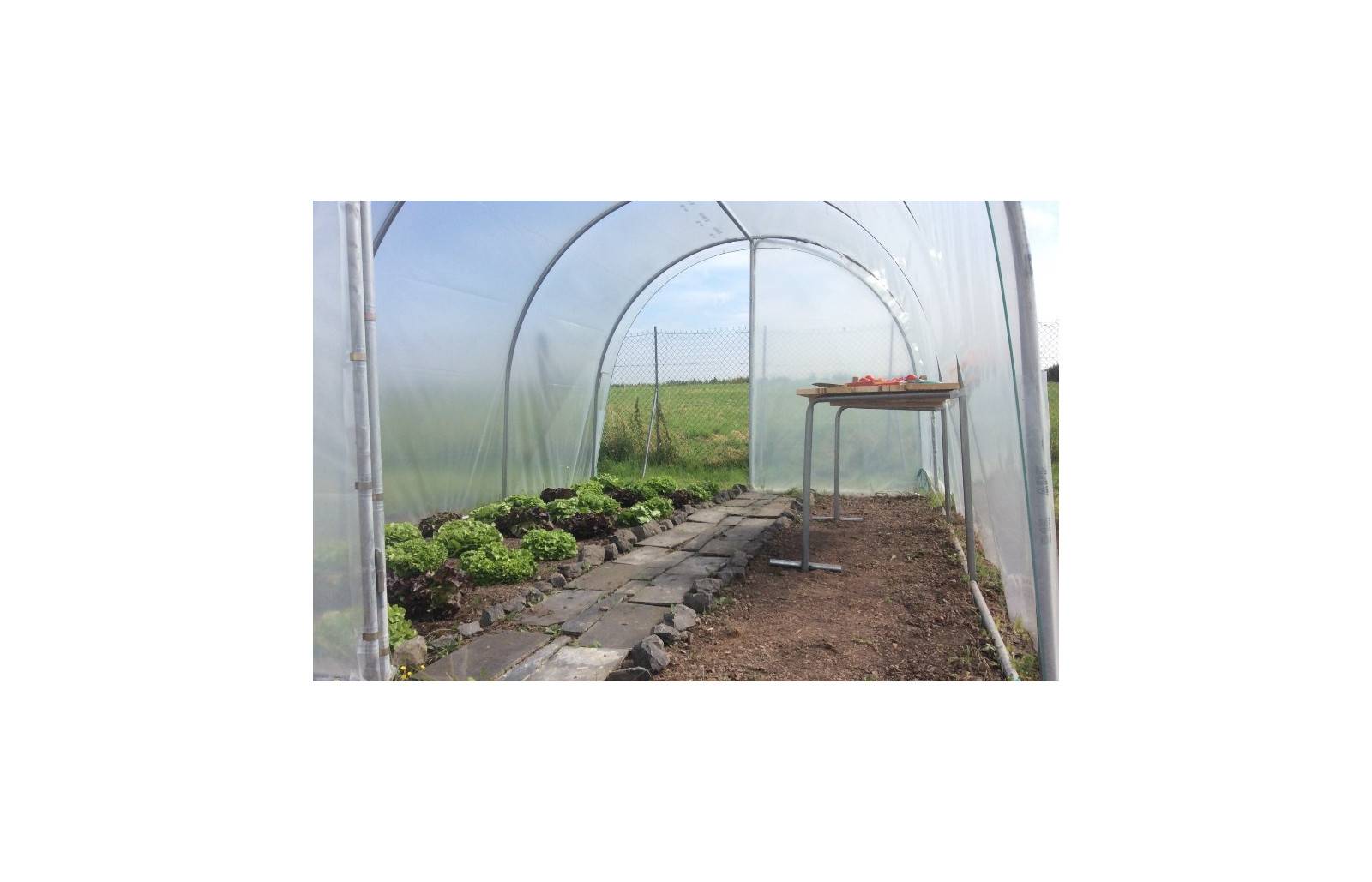 Serre tunnel de jardin - 9m² - 3 x 3 m - pieds arrondis - polyéthylène haute densité - 2 portes pivotantes - LES SERRES TONNEAU - Image 4