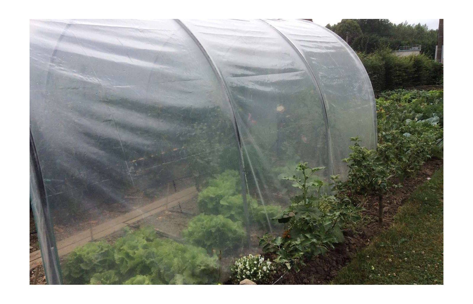 Serre tunnel de jardin - 9m² - 3 x 3 m - pieds arrondis - polyéthylène haute densité - 2 portes pivotantes - LES SERRES TONNEAU - Image 8