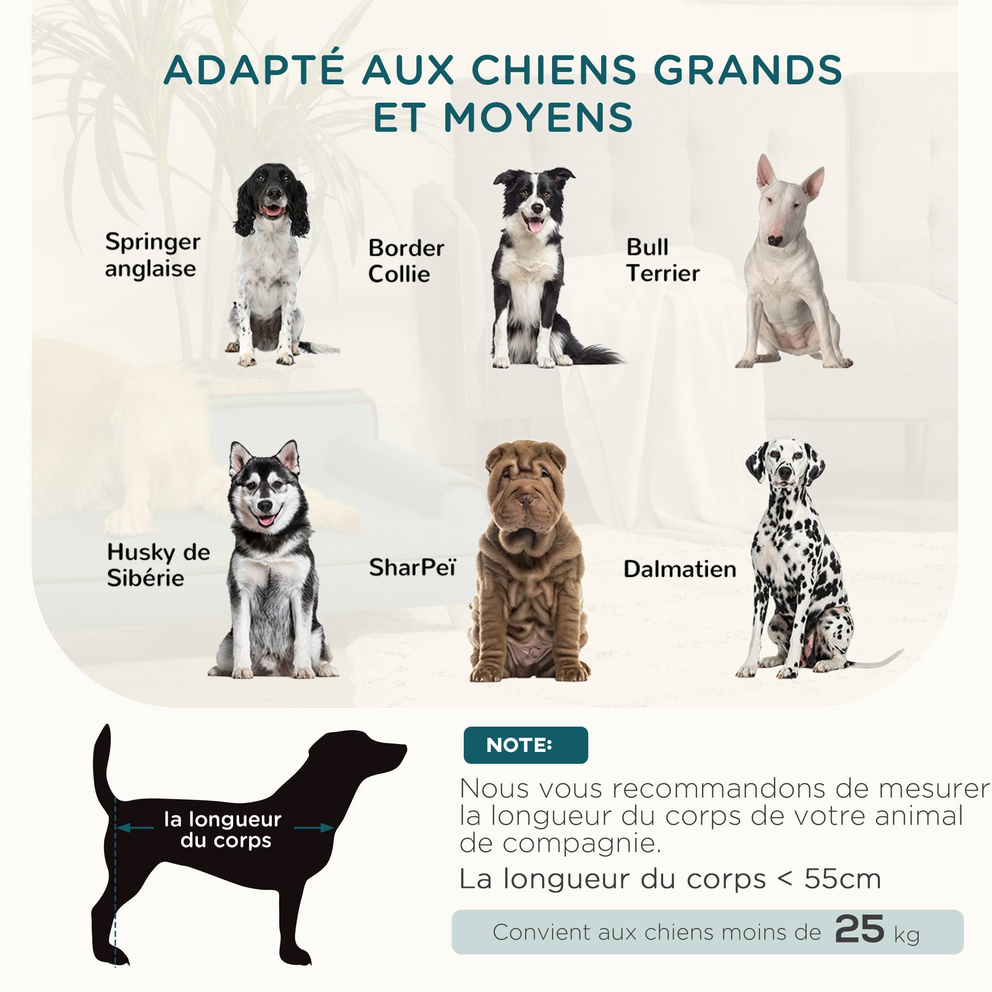 Sans Marque - Canapé pour chien chat design scandinave coussin moelleux amovible pieds bois massif 100 x 62 x 32 cm bleu canard - Image 6