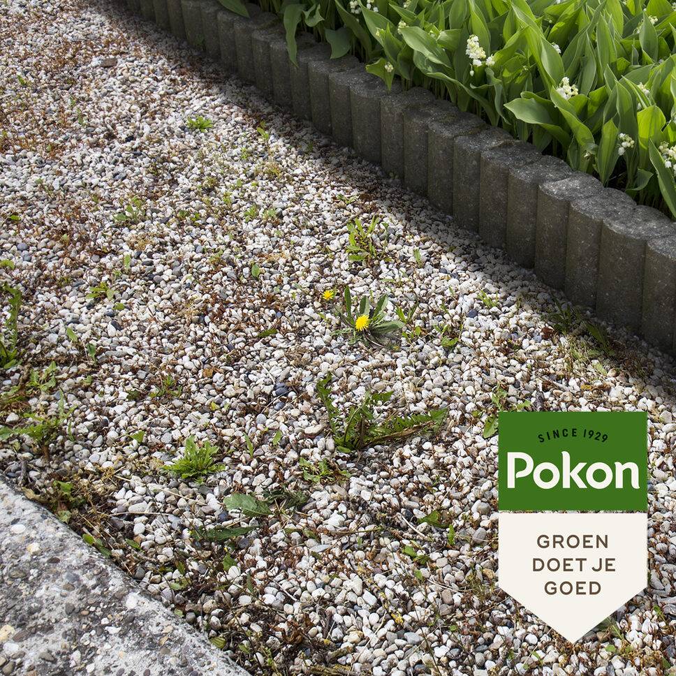 Pokon - Pokon concentré liquide anti-mauvaises herbes - 225ml - Image 2