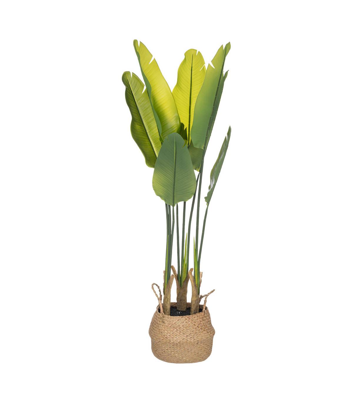 Plante artificielle Strelitzia en pot H 120 cm - Image 1