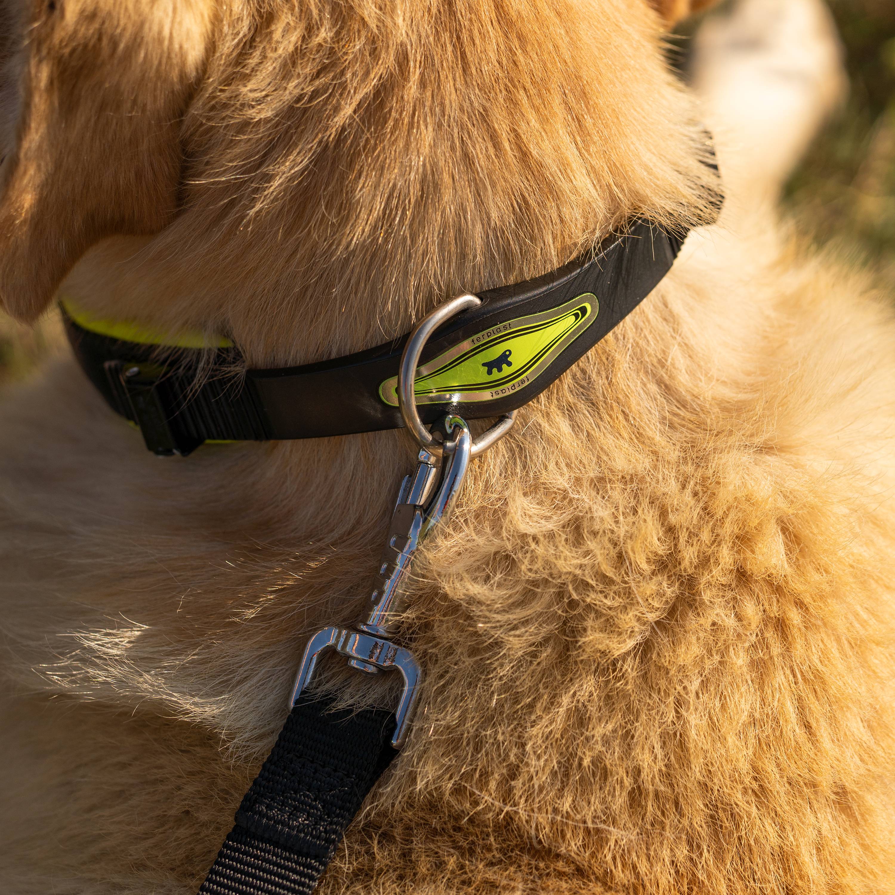 Ferplast - Collier Ergonomique pour Chiens ERGOFLUO C25/51 avec Rembourrage et Fermeture à Micro-régulation - Image 5