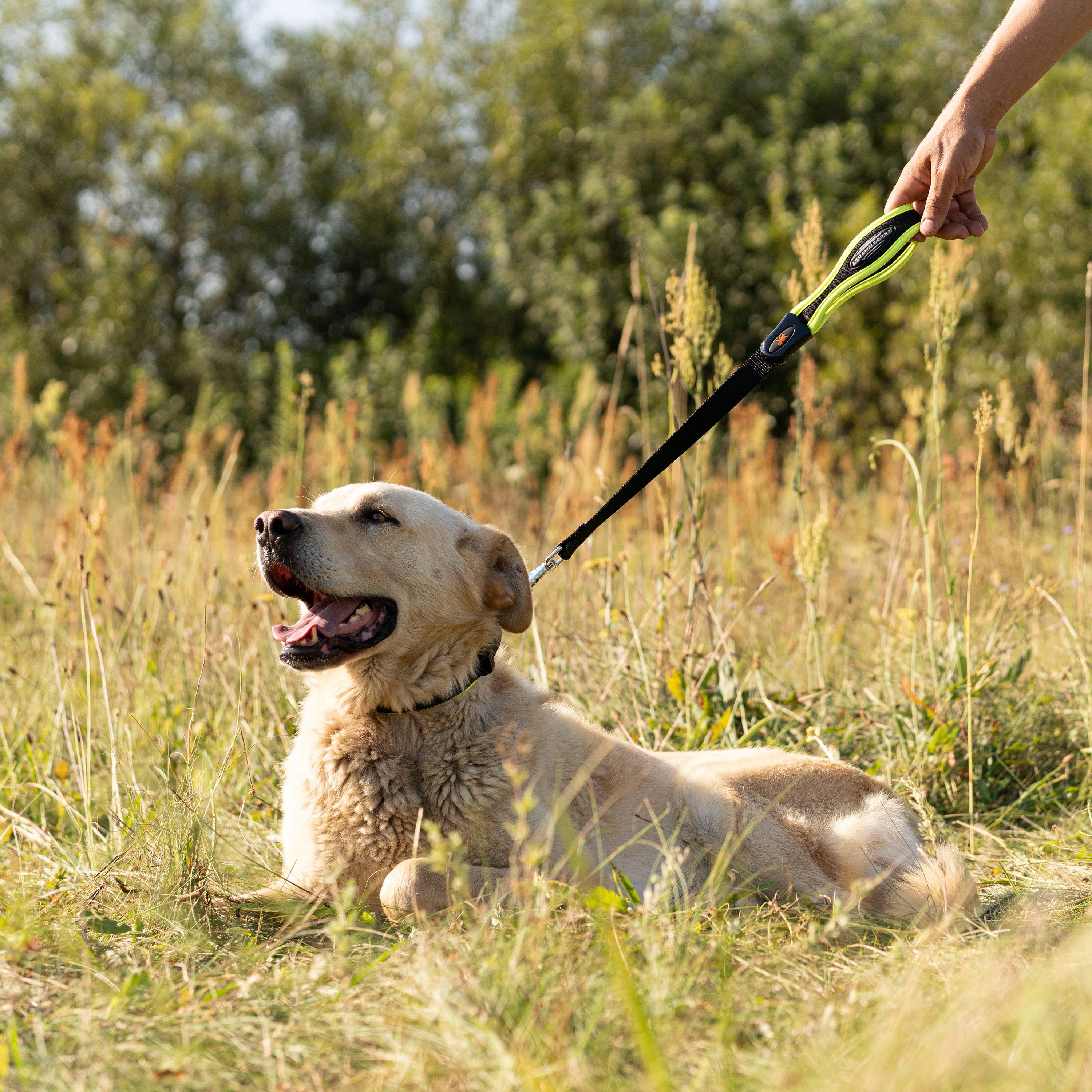 Ferplast - Collier Ergonomique pour Chiens ERGOFLUO C25/51 avec Rembourrage et Fermeture à Micro-régulation - Image 4