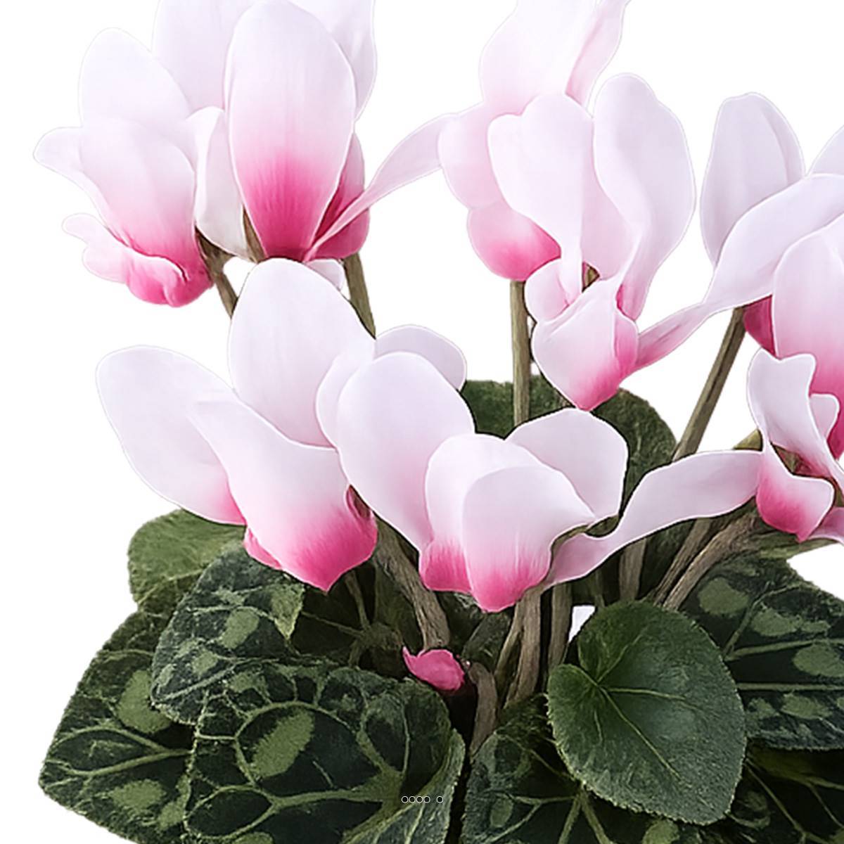 Artificielles - Cyclamen artificiel en pot H 20 cm D 15 cm qualité top Rose-crème - couleur: Rose-crème - Image 3