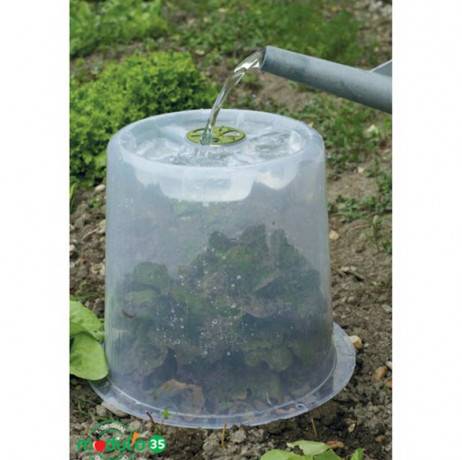 Mv Industries - Lot de 3 cloches potagères à forcer - Image 5