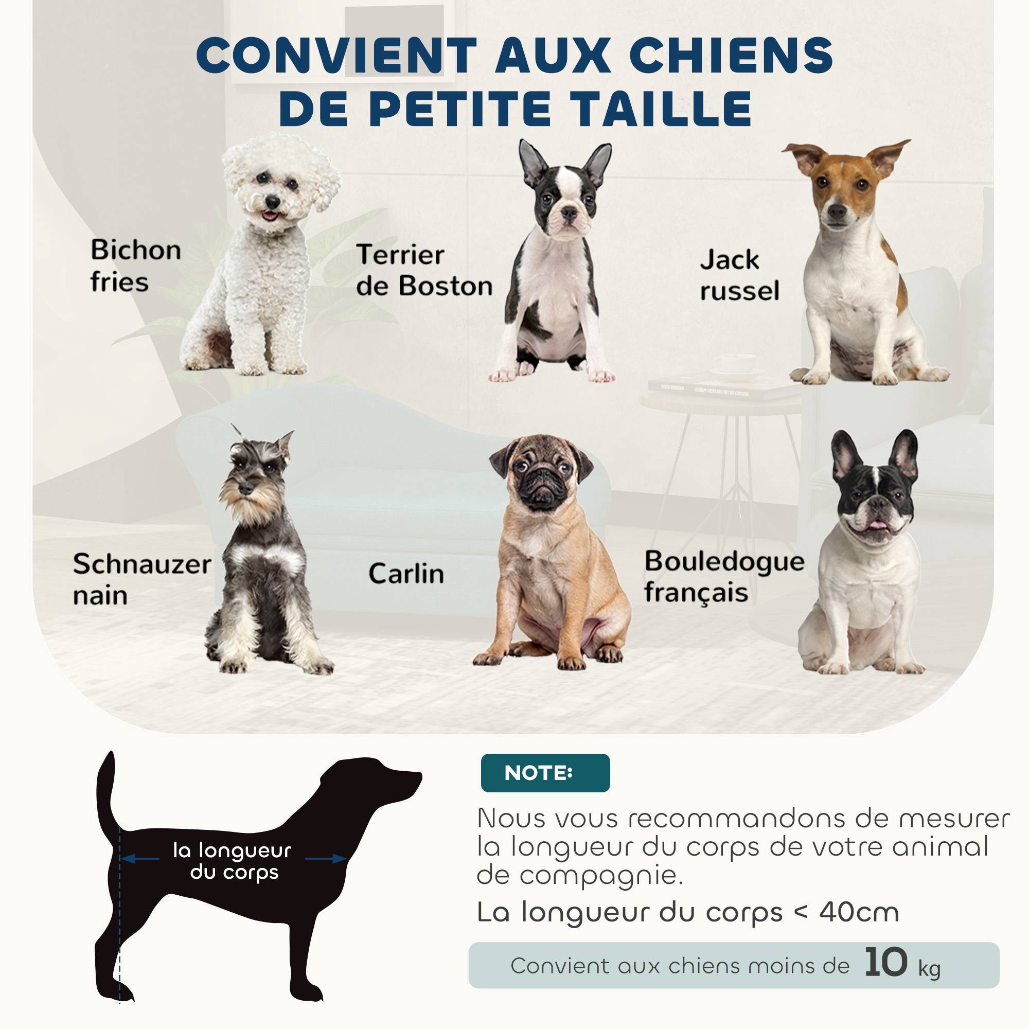Canapé chien chat sur pied avec coffre de rangement style moderne coussin d'assise amovible 76 x 45 x 43 cm vert - Image 10