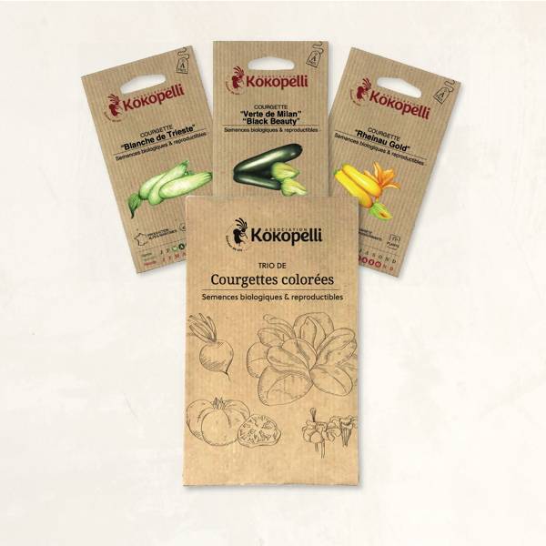 Courgettes Colorées - 3 sachets de graines bio à semer - Image 2
