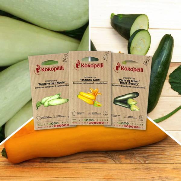 Courgettes Colorées - 3 sachets de graines bio à semer - Image 1