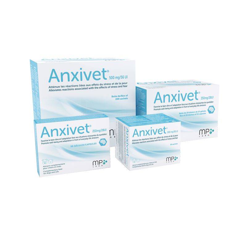 ANXIVET 250 MG/28UI CHIEN ET CHAT - MP LABO 300 gelules - Image 6