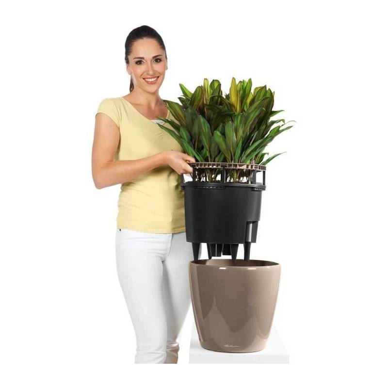 Lechuza - Pot De Fleur Lechuza Classico Premium Ls 50 - Kit Complet, Rouge Scarlet Brillant - Image 5