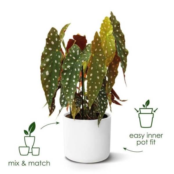 Elho - Elho B.for Soft Pot De Fleurs Rond 35 - Blanc - ø 35 X H 32 Cm - Intérieur - 100% Recyclé - Image 2