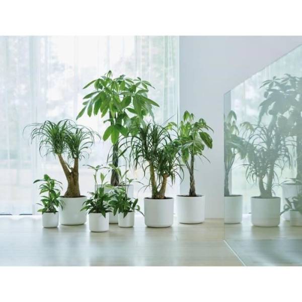 Elho - Elho B.for Soft Pot De Fleurs Rond 35 - Blanc - ø 35 X H 32 Cm - Intérieur - 100% Recyclé - Image 5