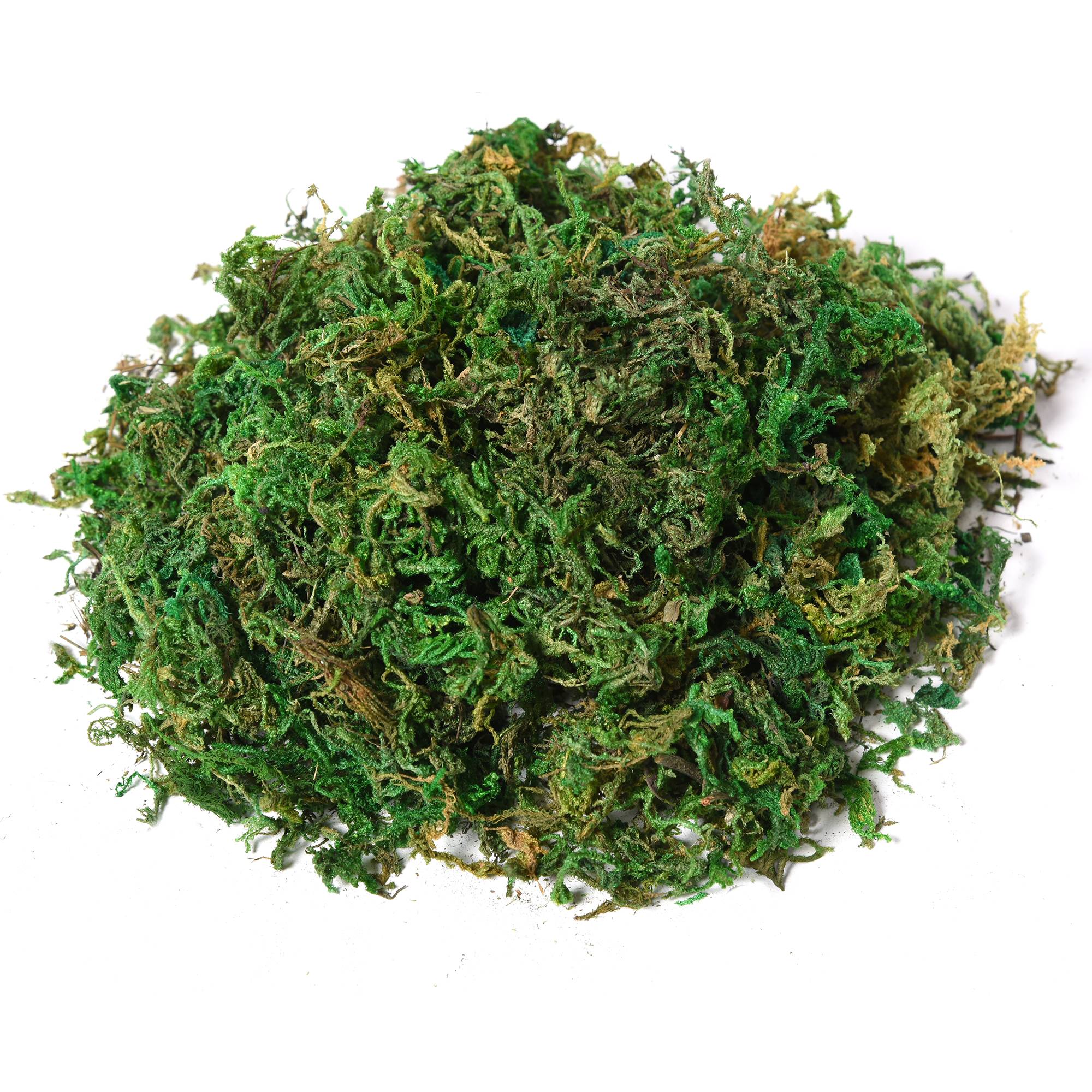 Arbre Artificiel Plante Artificielle ficus H.1,45 m Tronc Branches Liane Lichen Feuilles Grand réalisme Pot Inclus - Image 9