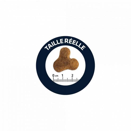 CROQUETTES CHIEN BULLDOG FRANCAIS - ADVANCE 7,5 kg - Image 2