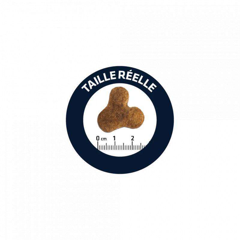 CROQUETTES CHIEN BULLDOG FRANCAIS - ADVANCE 7,5 kg - Image 2