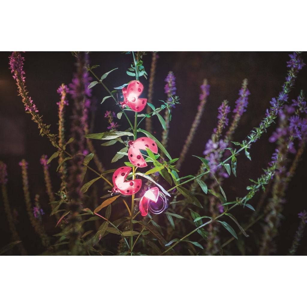 Décoration solaire: coccinelle clipsable, un éclat porte-bonheur à suspendre dans vos feuillages - Image 4