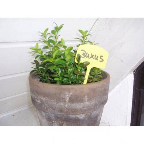 Lot de 10 étiquettes pour plantes en plastique - Image 2