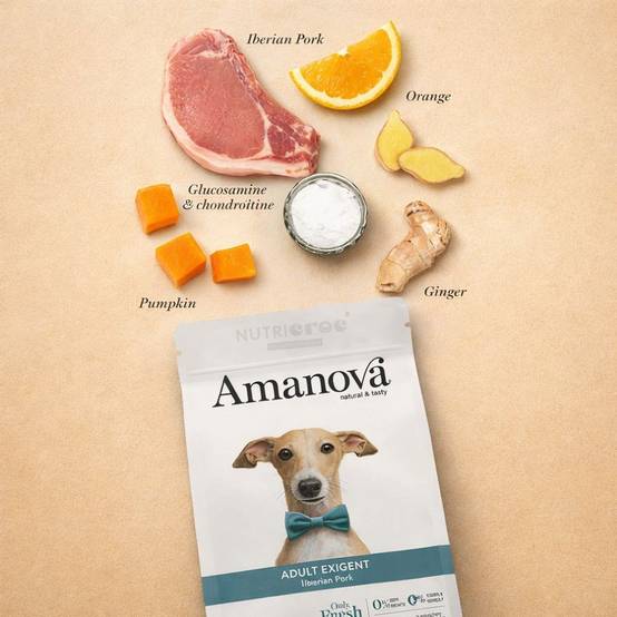 Croquettes Chien Exigeant Porc Ibérique Sans Céréales 2 kg - Image 2