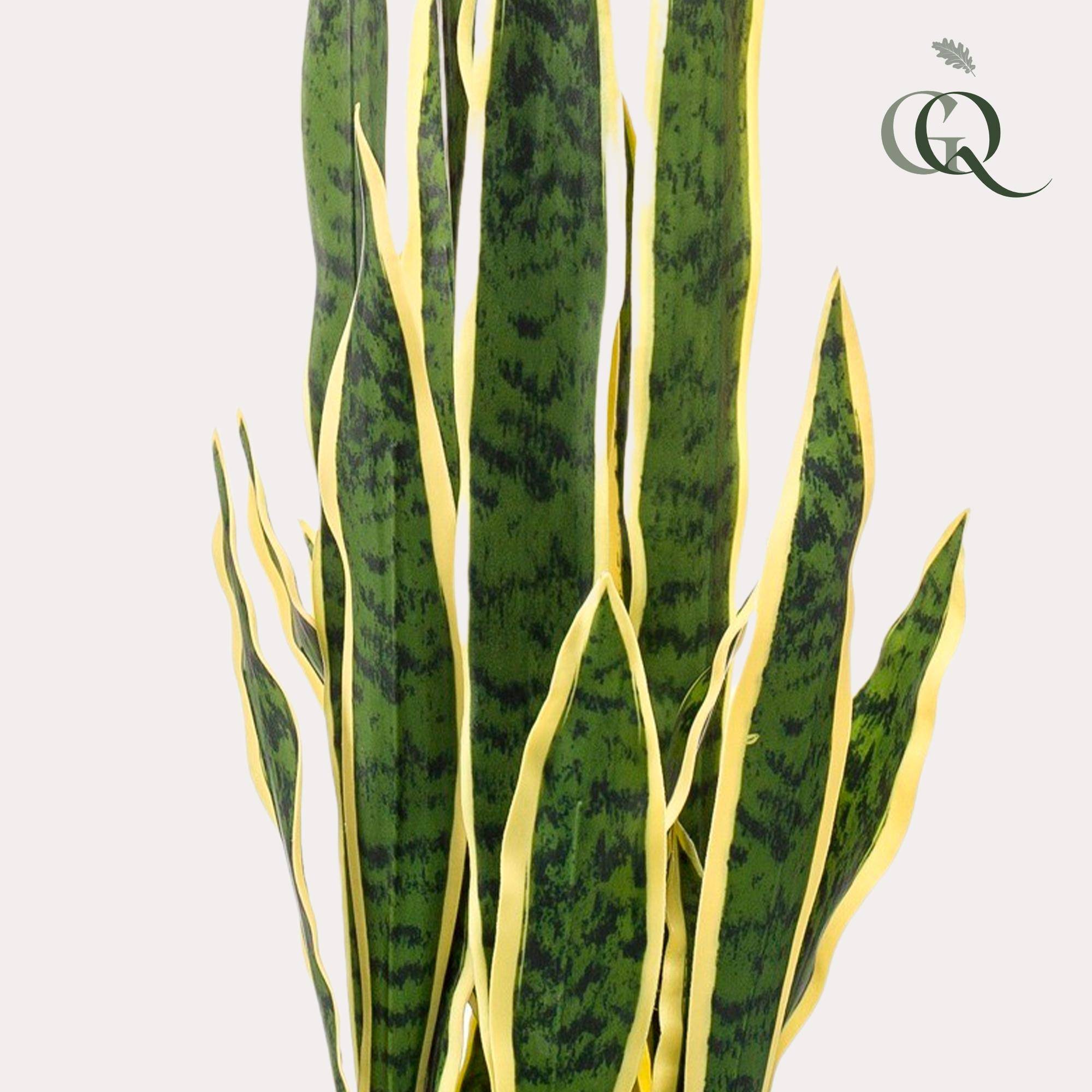 Plante Artificielle Sanseveria Trifasciata Intérieur Déco 97 cm - ComfortXL Green Living - Image 2