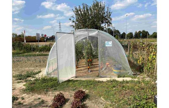 Serre tunnel de jardin - 11m² - 3,7 x 3 m - pieds arrondis - polyéthylène haute densité - aérations latérales - LES SERRES TONNEAU - Image 8