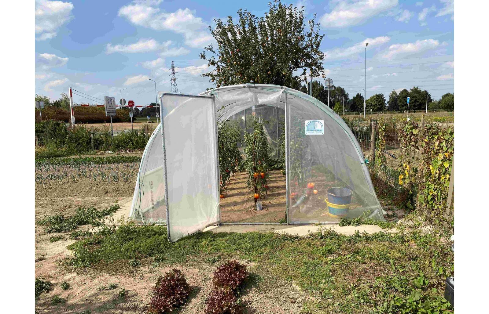 Serre tunnel de jardin - 11m² -  3,7 x 3 m - pieds arrondis - polyéthylène haute densité - aérations latérales - LES SERRES TONNEAU - Image 8
