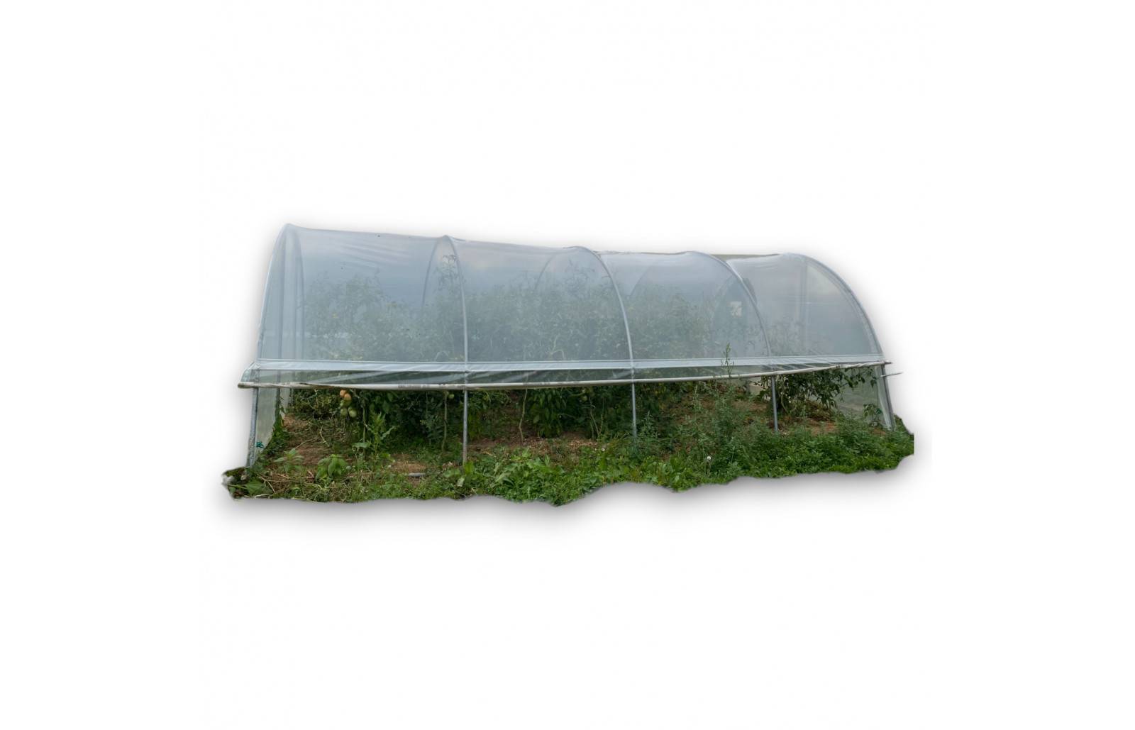 Serre tunnel de jardin - 11m² - 3,7 x 3 m - pieds arrondis - polyéthylène haute densité - aérations latérales - LES SERRES TONNEAU - Image 2