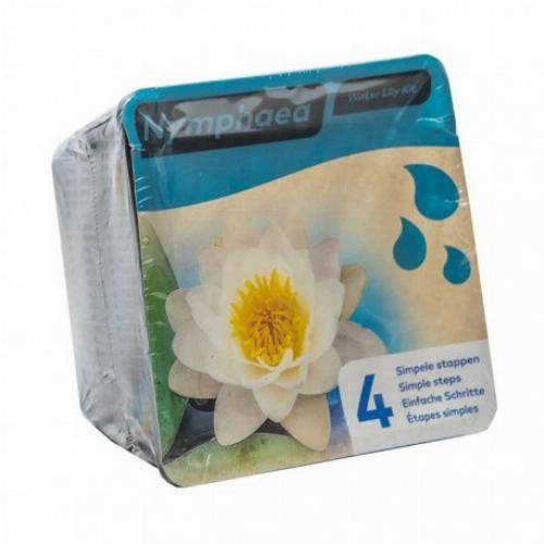 Kit Nénuphar - plante aquatique pour bassin - Jaune - Image 3