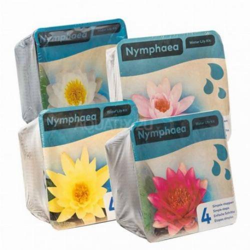 Kit Nénuphar - plante aquatique pour bassin - Jaune - Image 5