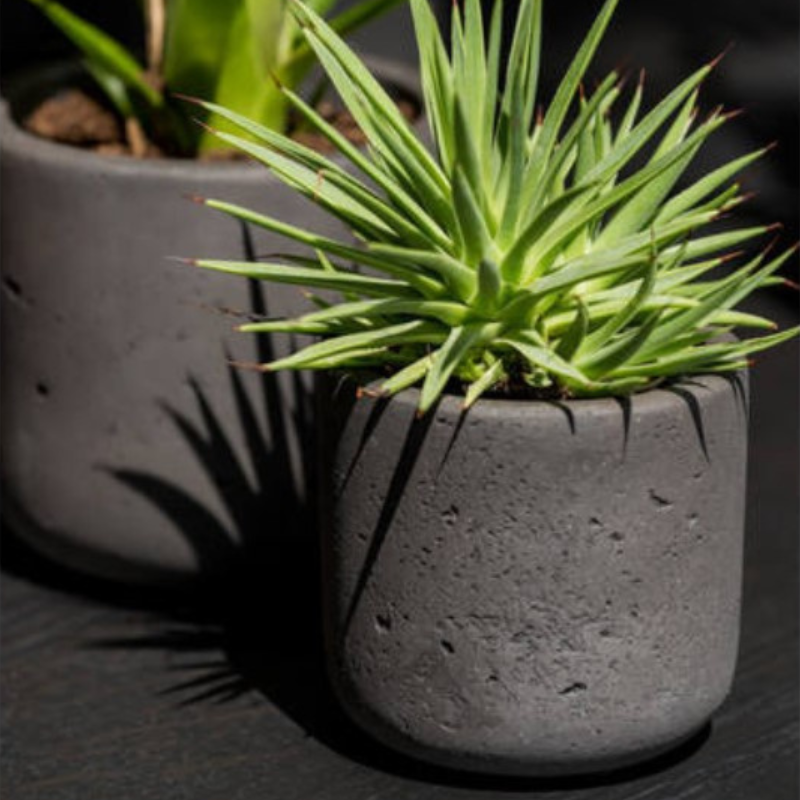 Pottery Pots - Pot Charlie XXS Noir Effet béton 10cm - Pottery Pots - Image 2
