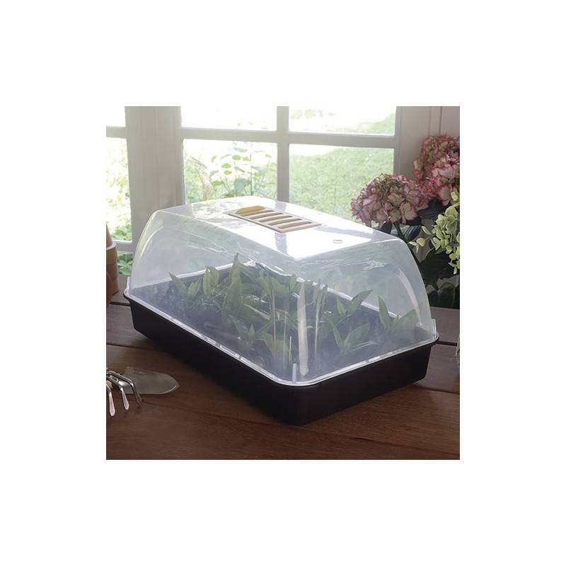 Nortène - Mini Serre Rapid Grow 38x24xh.19cm Nortene - 2019450 - Image 4