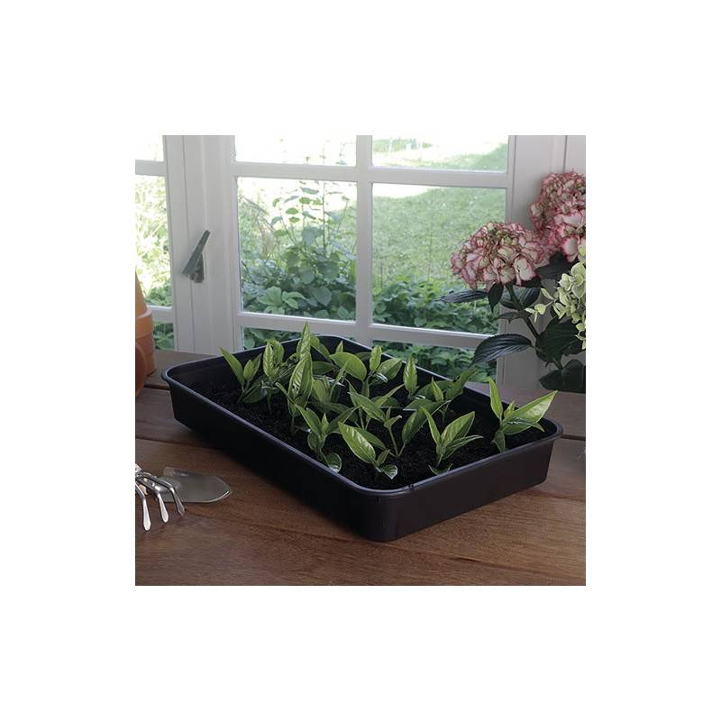 Nortène - Mini Serre Rapid Grow 38x24xh.19cm Nortene - 2019450 - Image 5