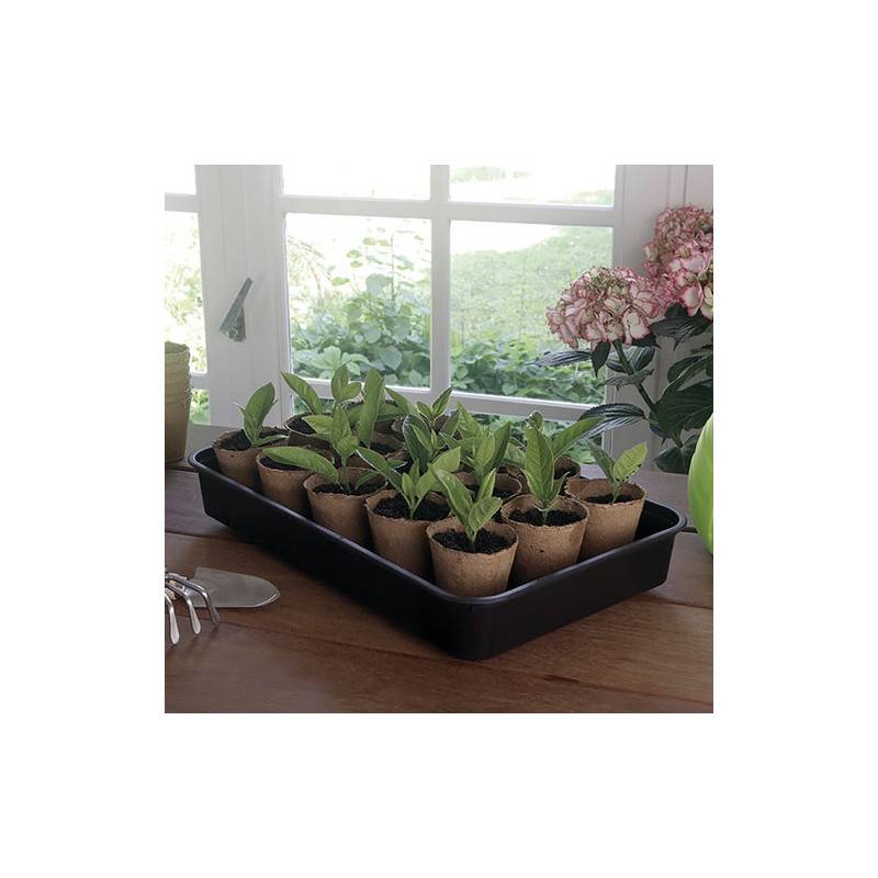Nortène - Mini Serre Rapid Grow 38x24xh.19cm Nortene - 2019450 - Image 3