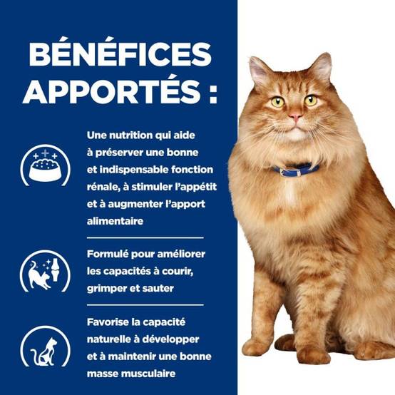 CROQUETTES CHAT ADULT PRESCRIPTION DIETS K/D J/D KIDNEY CARE + MOBILITY - HILL'S 1,5 kg - Image 4