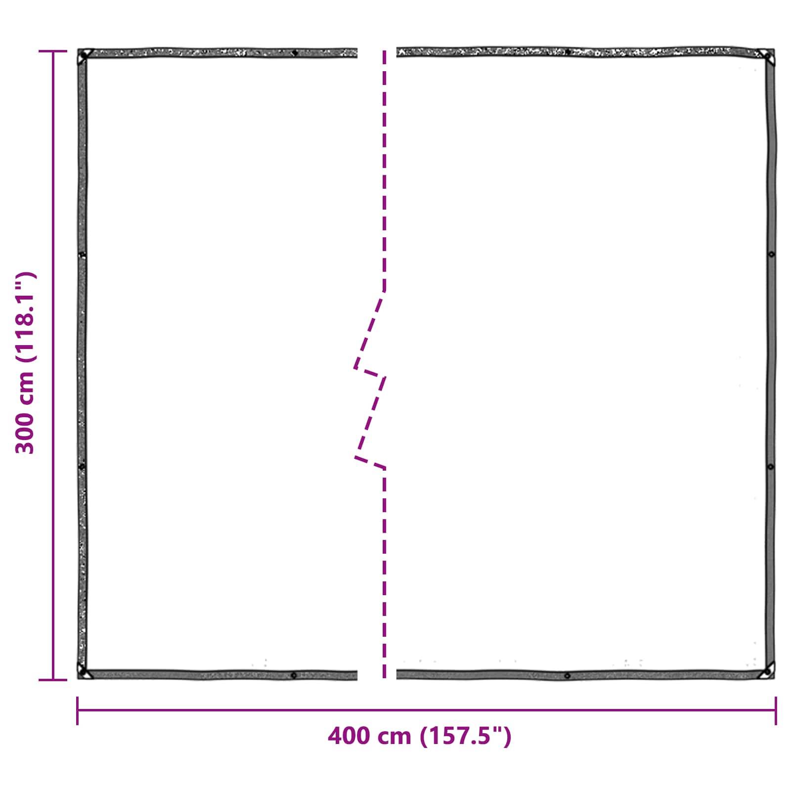Vidaxl - Couverture pour plantes Transparent 3 x 4 m PE vidaXL 3429312 - Image 3