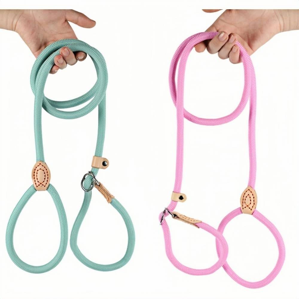 DtopbuyAge - Laisse de dressage pour chiens et chats DtopbuyAge - Image 1