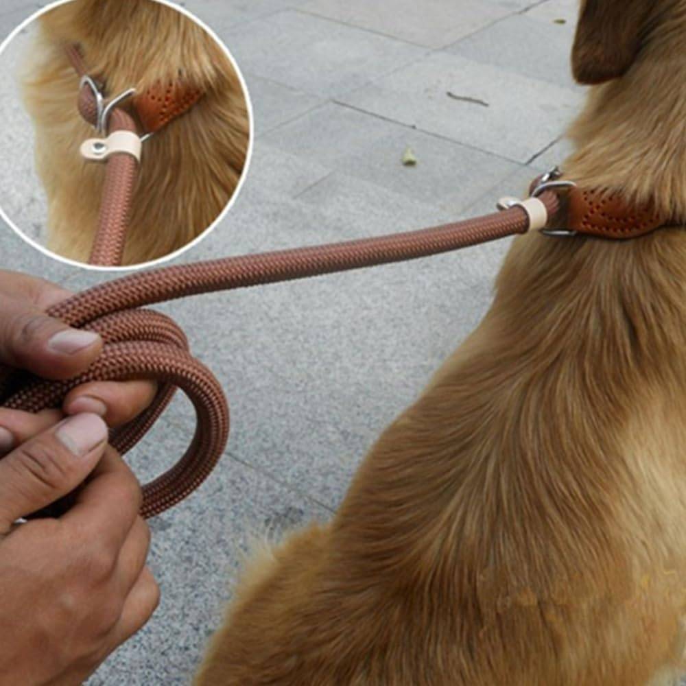 DtopbuyAge - Laisse de dressage pour chiens et chats DtopbuyAge - Image 2