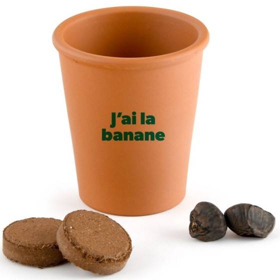 Radis et Capucine - Radis et Capucine - Carte message - J'ai la banane - Bananier - Image 4
