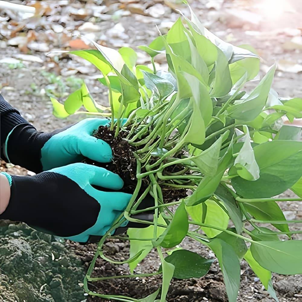 IntiMeg - Gants de Jardinage à Griffes pour la Plantation IntiMeg - Image 3