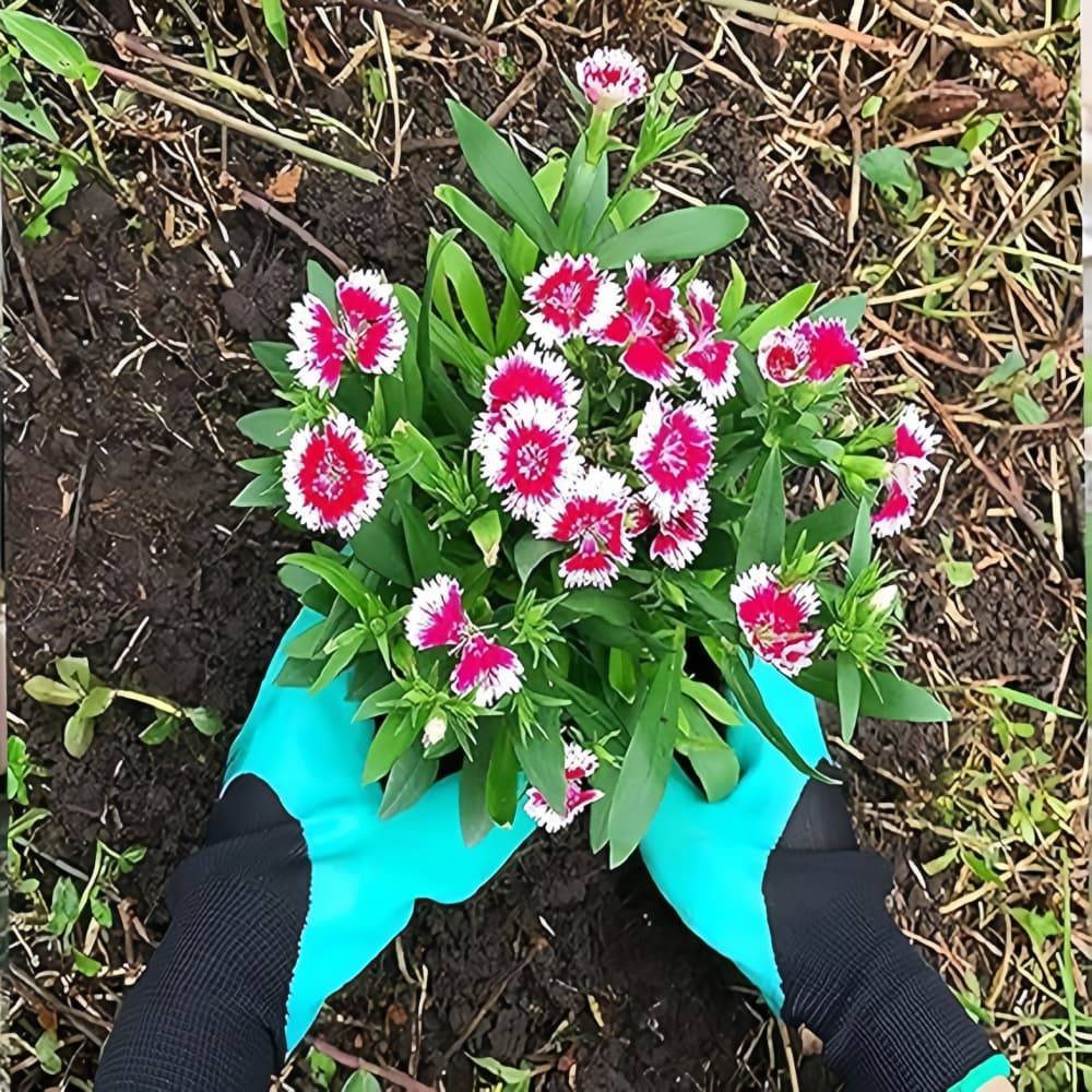 IntiMeg - Gants de Jardinage à Griffes pour la Plantation IntiMeg - Image 2