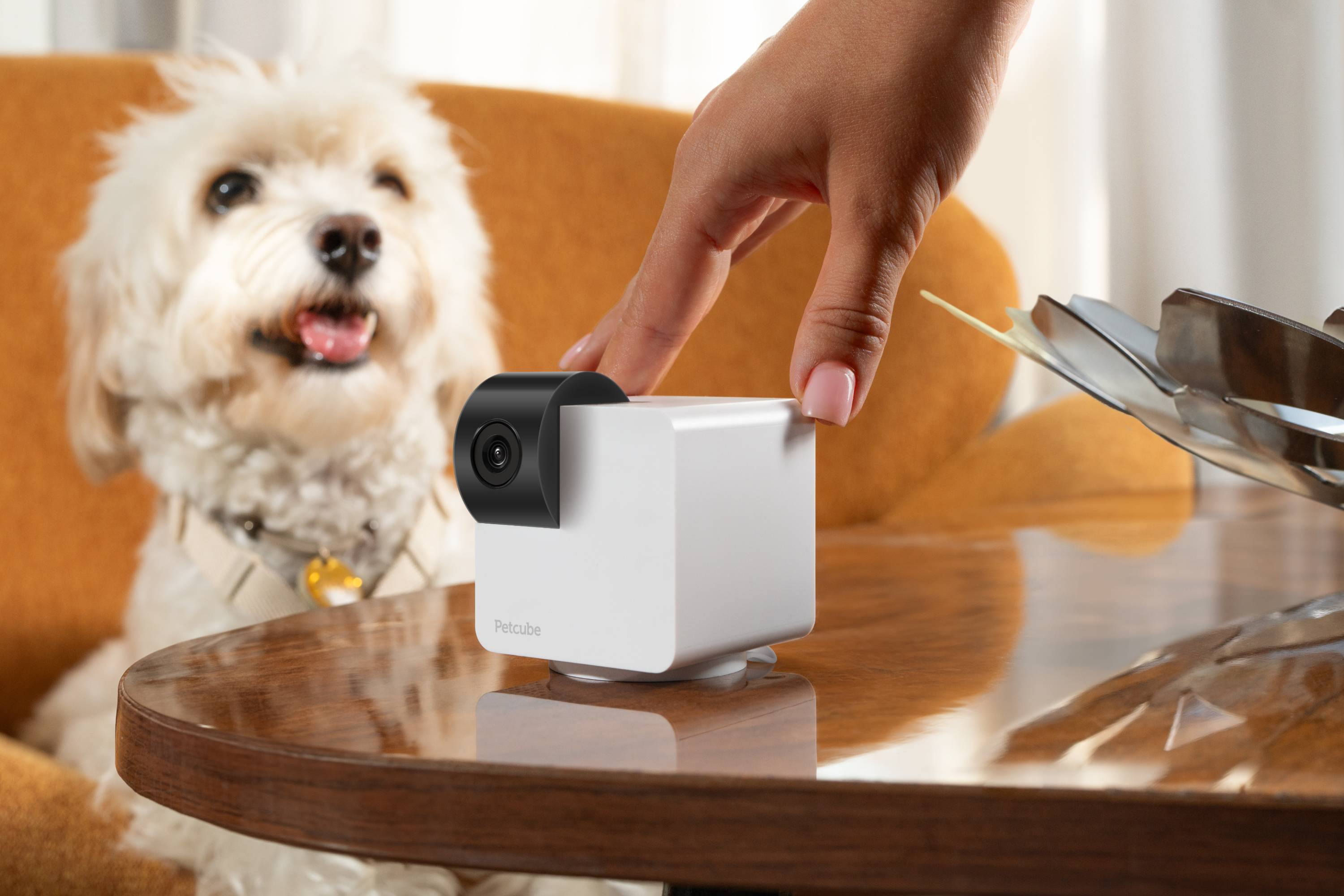 Petcube Cam 360 - Caméra de surveillance pour animaux - Image 4