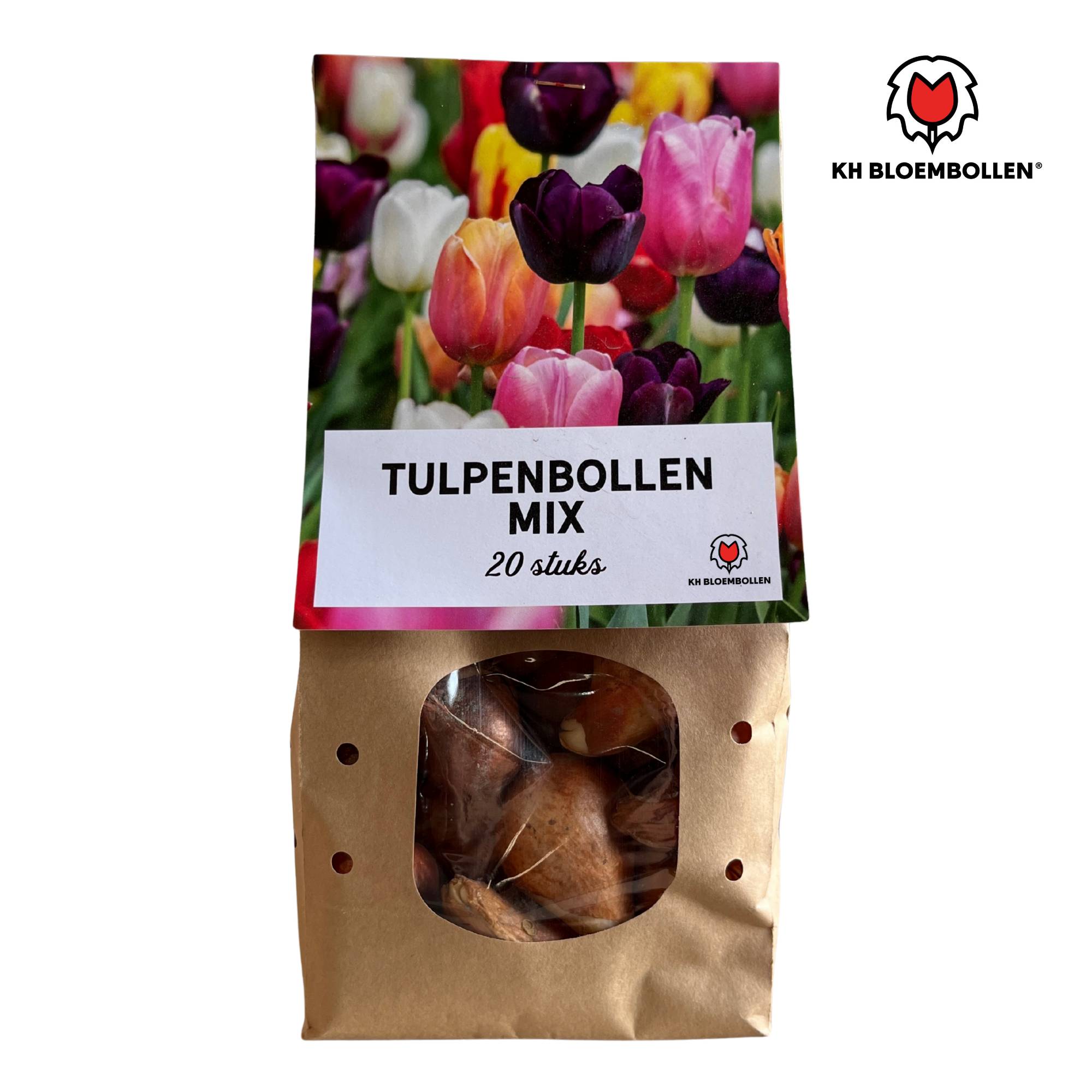 La Green Touch - Tulipes en mélange - 20 bulbes - Image 1